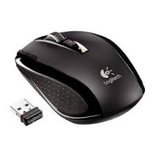 Mouse